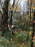 Photo from hillside - 