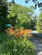 Driveway Entrance - 