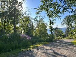 View from driveway - 