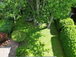 Aerial View - 