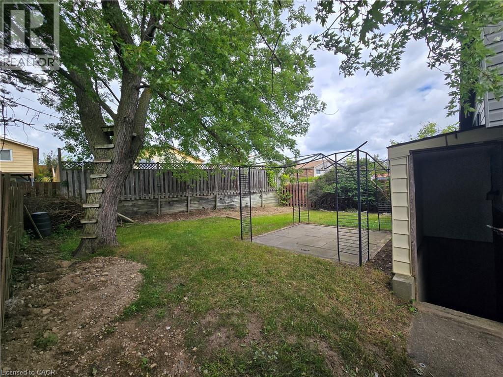 Expansive backyard featuring a mature tree, privacy fencing, a paved patio area, and a metal pergola frame - 99 Cluthe Crescent, Kitchener, ON