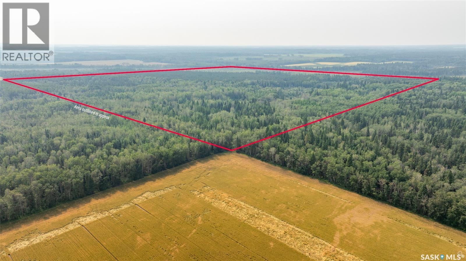 Torch River Land, Torch River Rm No. 488, SK