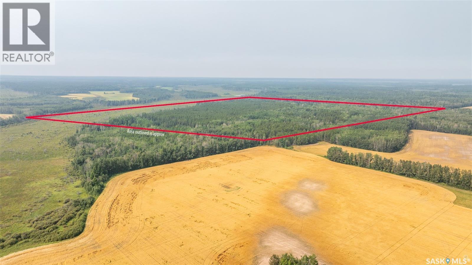 Torch River Land, Torch River Rm No. 488, SK