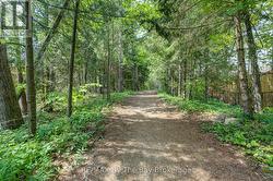 Path behind property to get to the beach - 