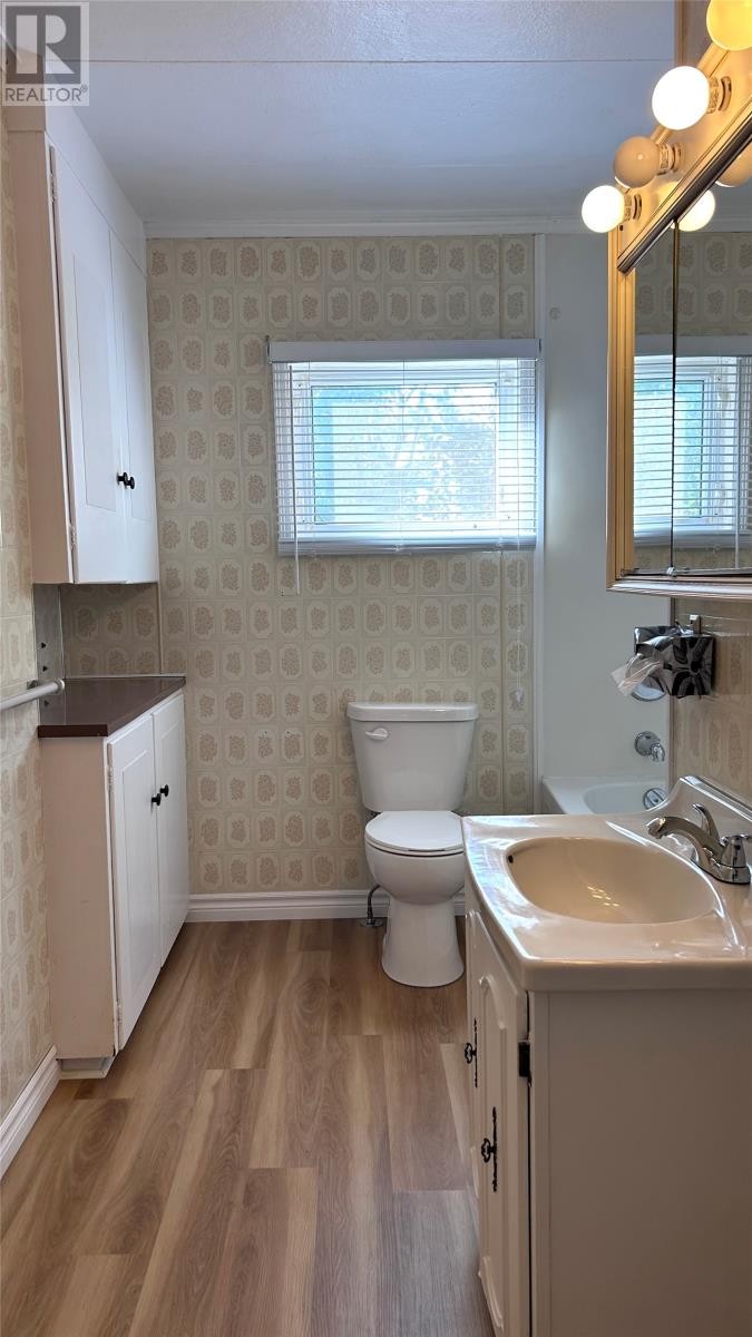 4 Patrick Street, Grand Falls-Windsor, NL