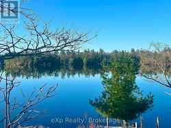 RIVERSIDE 36 - 1336 MORRISON LAKE ROAD S Gravenhurst (Wood (Gravenhurst)), ON P0E 1G0