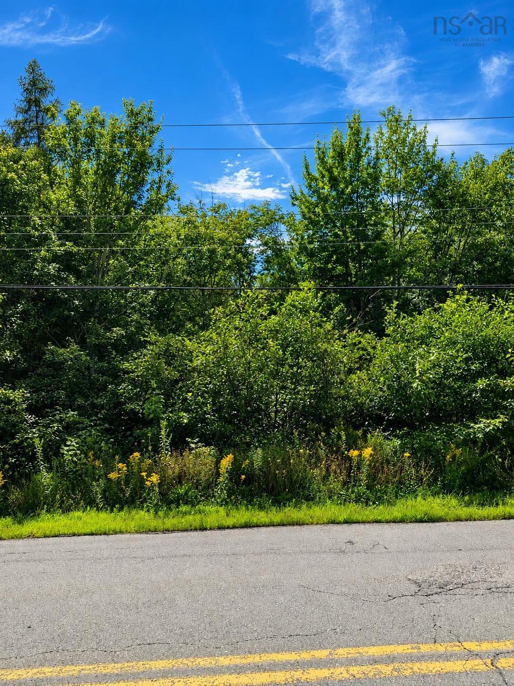 Camperdown School Road, Middlewood, NS