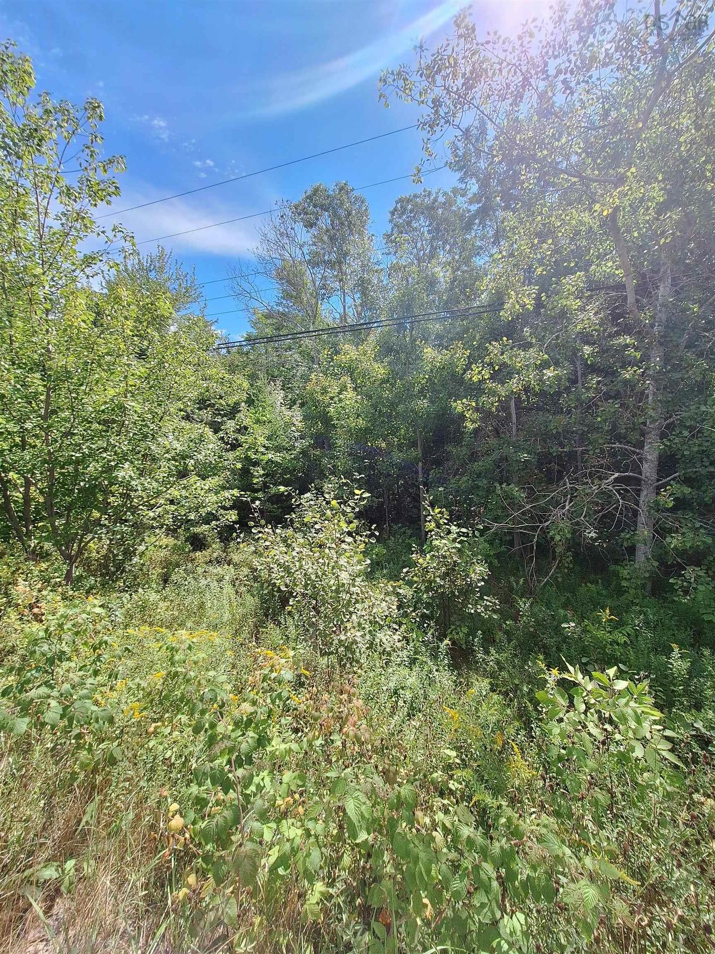 Camperdown School Road, Middlewood, NS