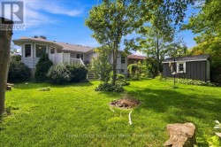 Backyard - 