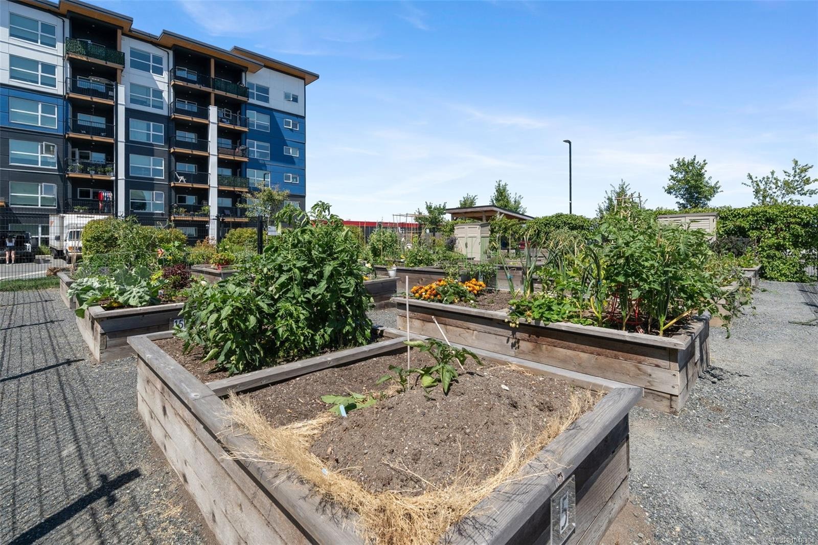 #302-2469 Gateway Rd, Langford, BC