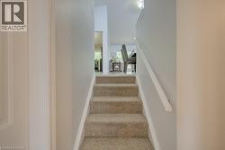 Carpeted staircase featuring a painted handrail and white baseboards - 