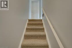 Carpeted staircase with white risers and handrail, leading to a white paneled door - 