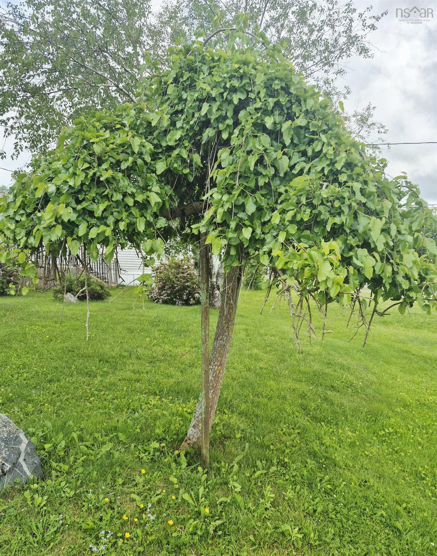 68 Hillcrest Avenue, Bible Hill, NS