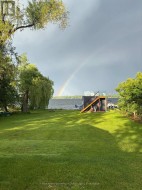 Rainbow - 