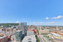 View - 