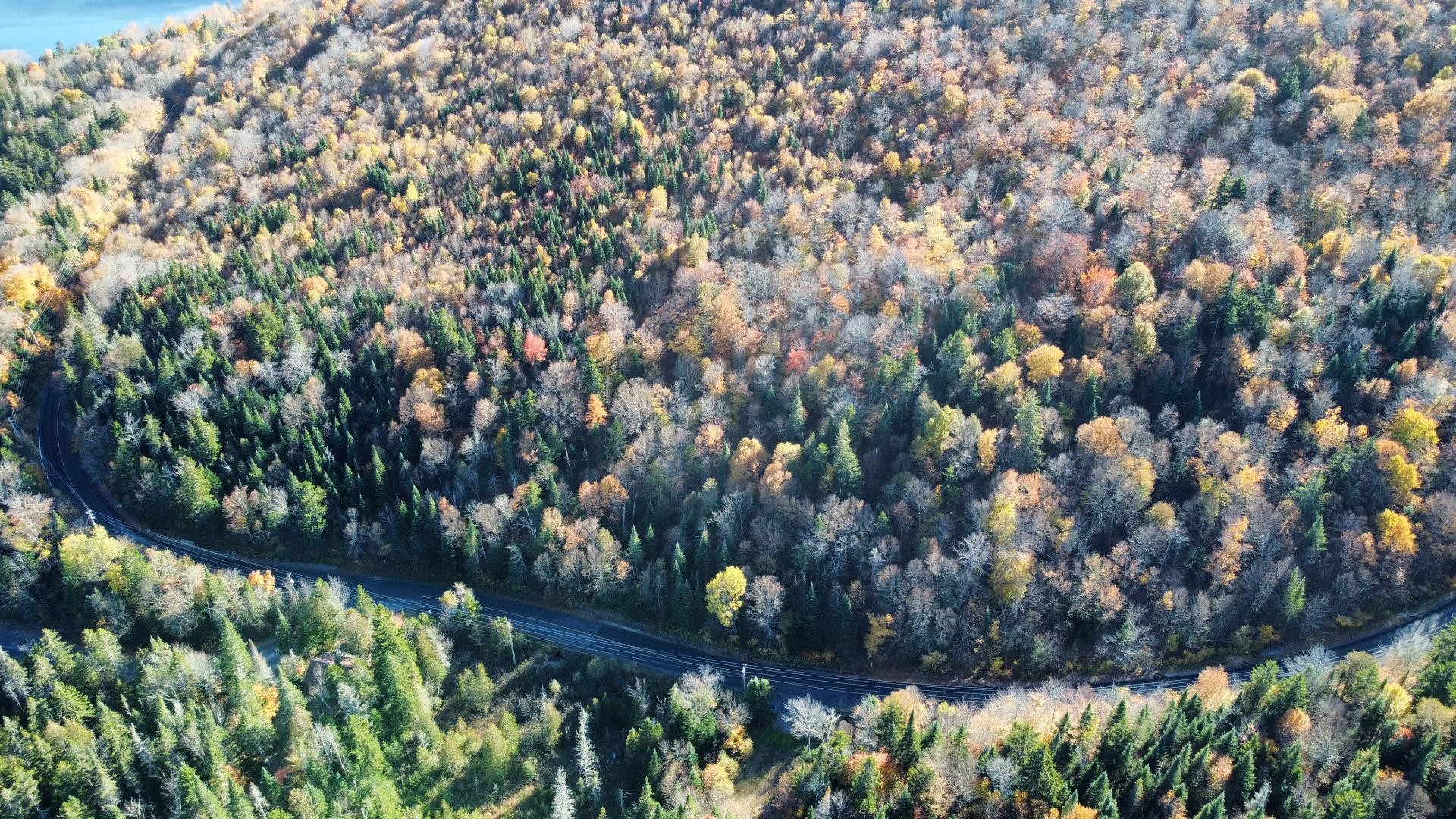 Aerial View - Ch. Des Lacs, Mont-Blanc, QC