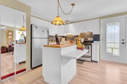 Cuisine - 