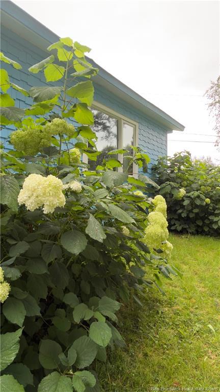 501 Route 530, Grande-Digue, NB
