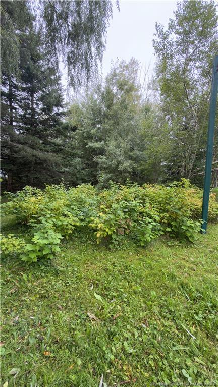 501 Route 530, Grande-Digue, NB