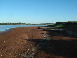 LOT 4 BLUE HERON Crescent North Rustico, PE C0A 1X0