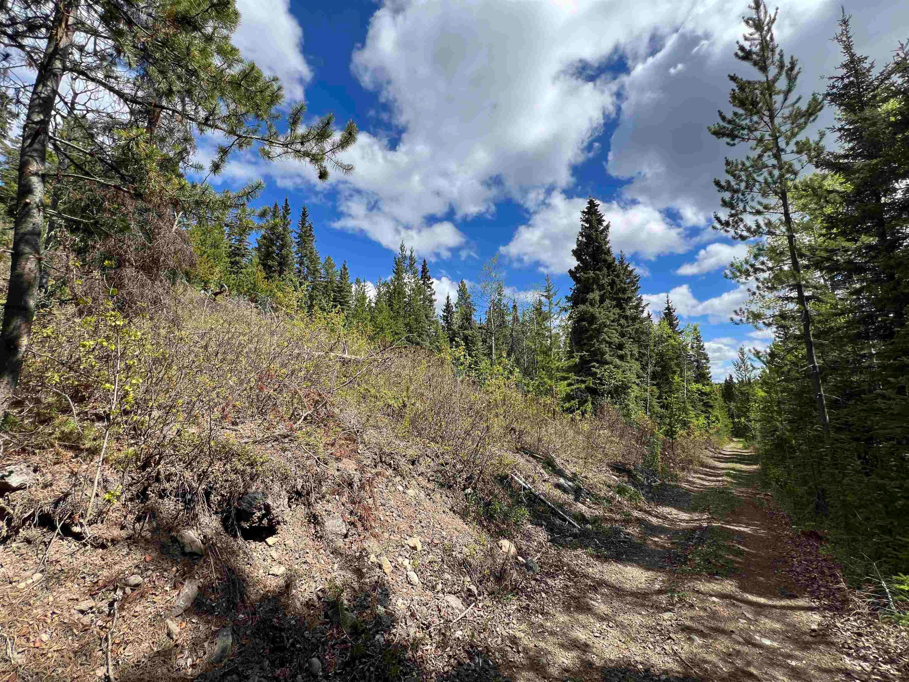 Dl 2466 Tchesinkut Lake, Burns Lake, BC