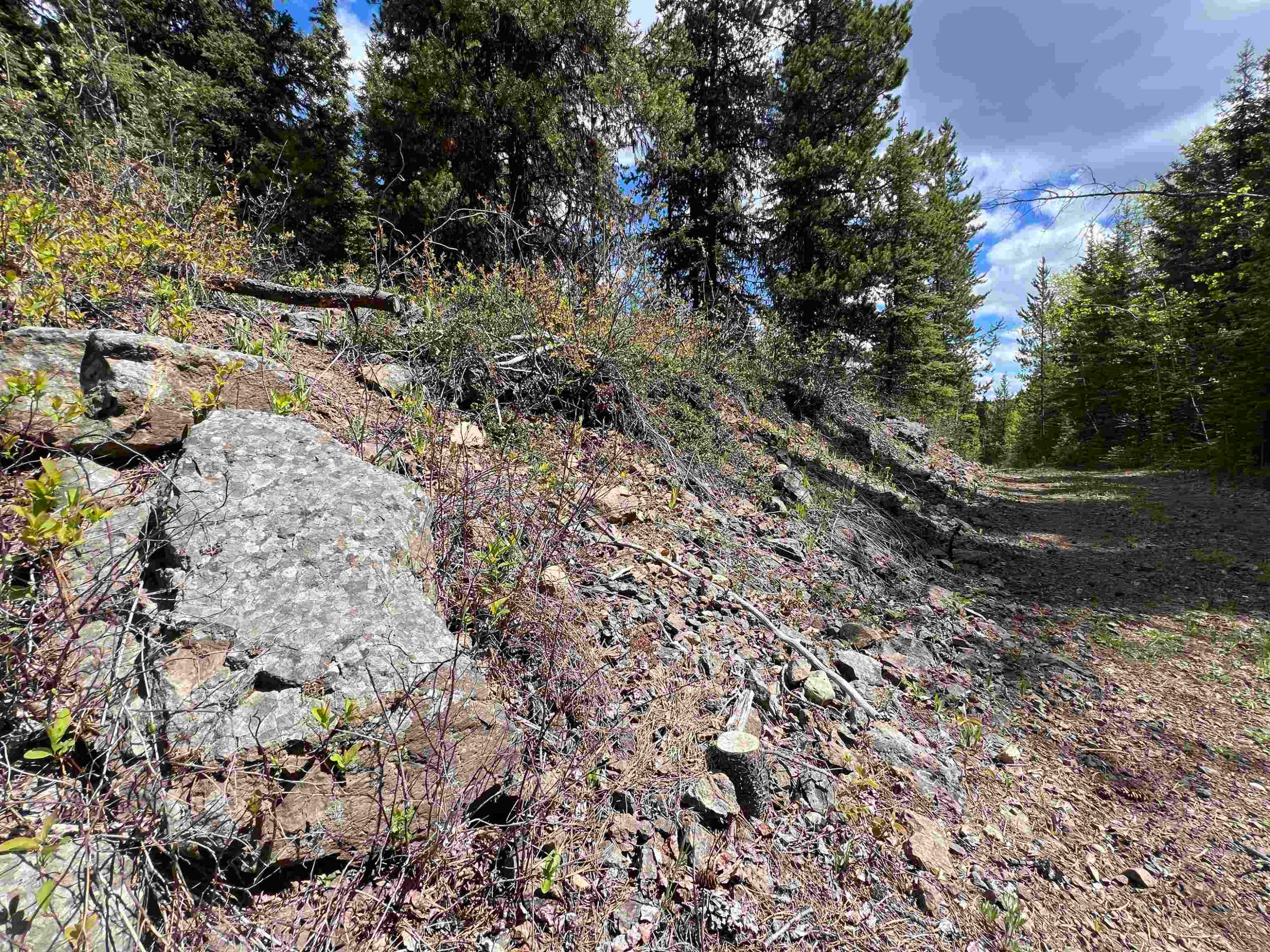 Dl 2466 Tchesinkut Lake, Burns Lake, BC