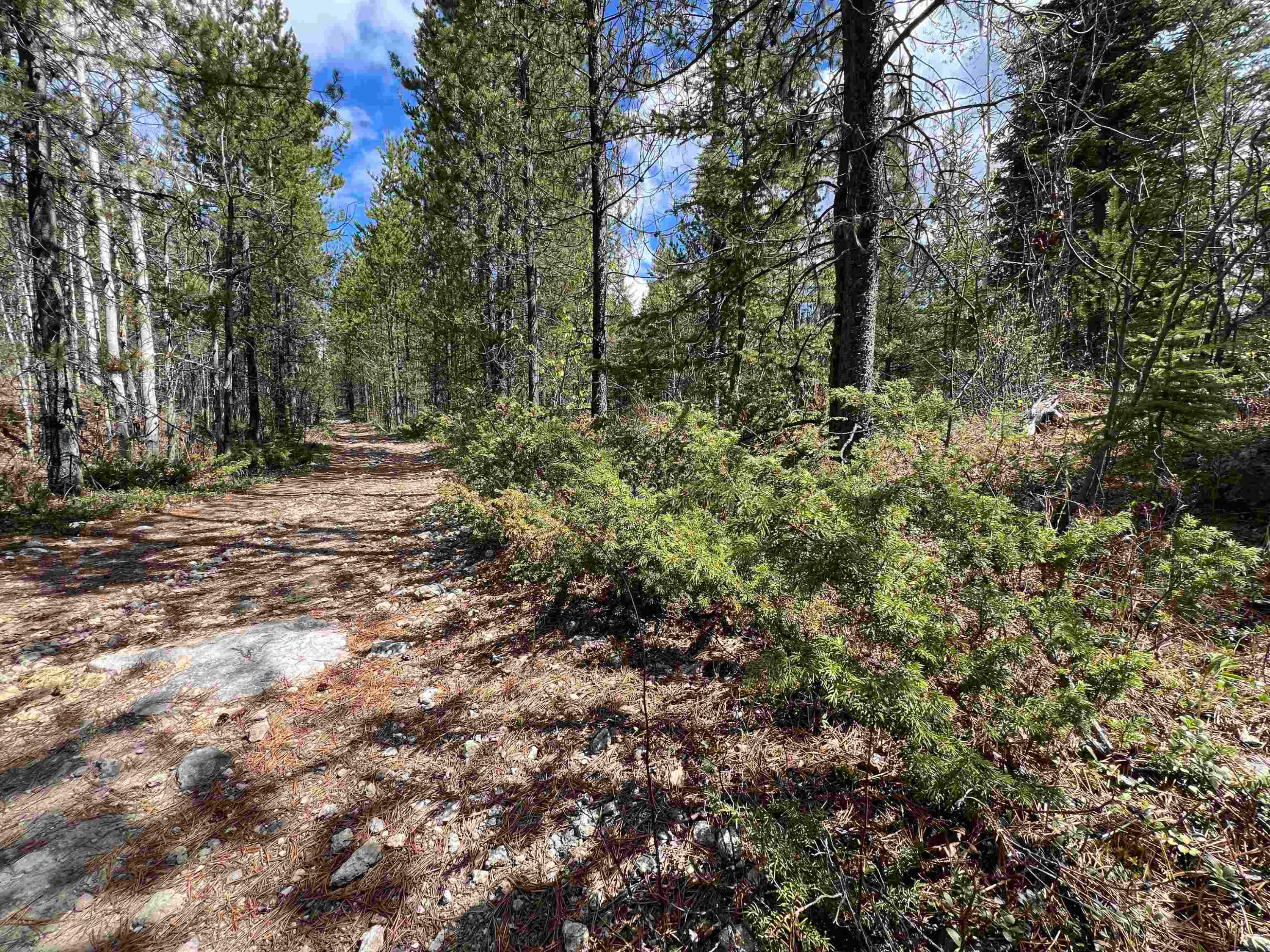 Dl 2466 Tchesinkut Lake, Burns Lake, BC