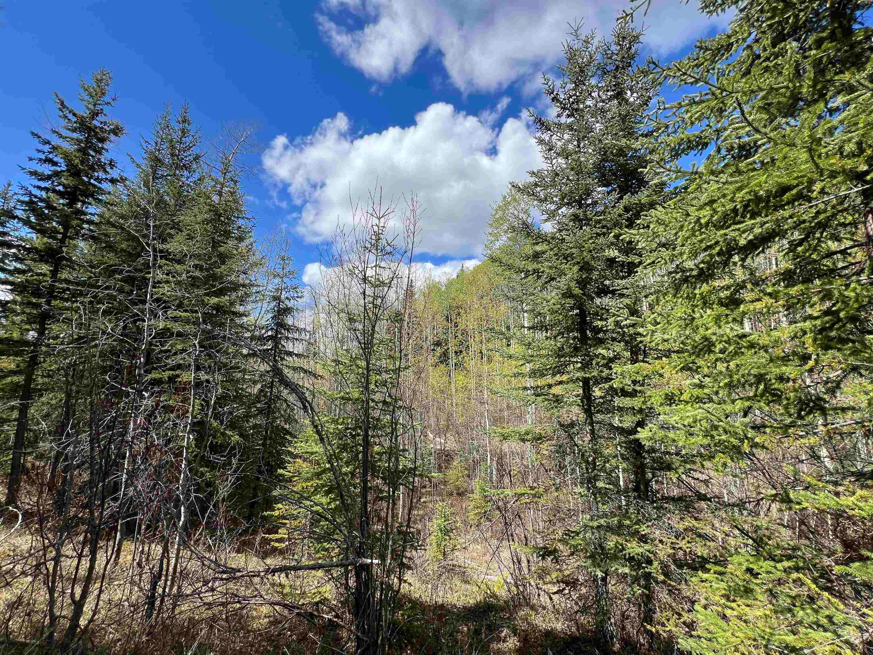 Dl 2466 Tchesinkut Lake, Burns Lake, BC