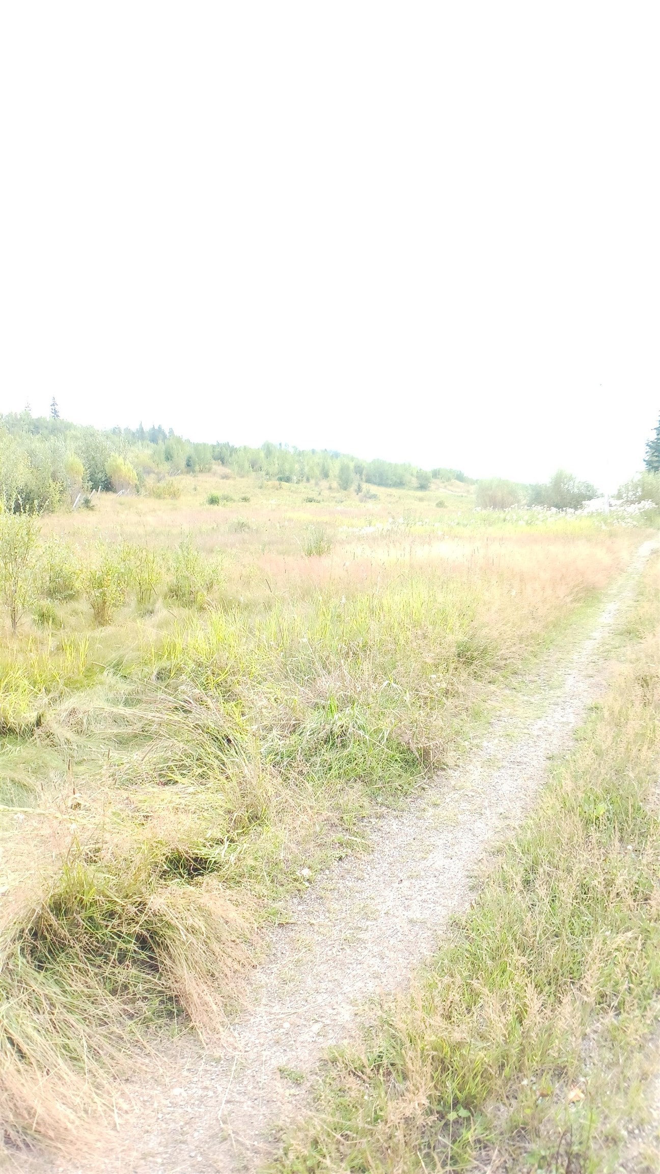 6515 Thorley Road, Hixon, BC