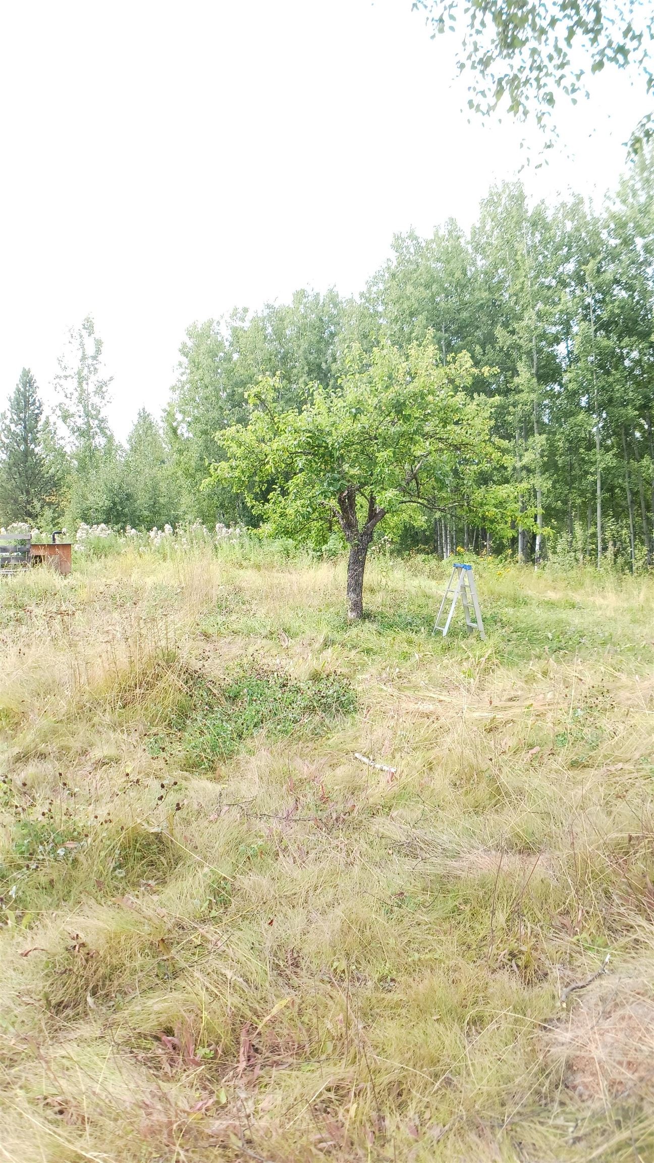 6515 Thorley Road, Hixon, BC