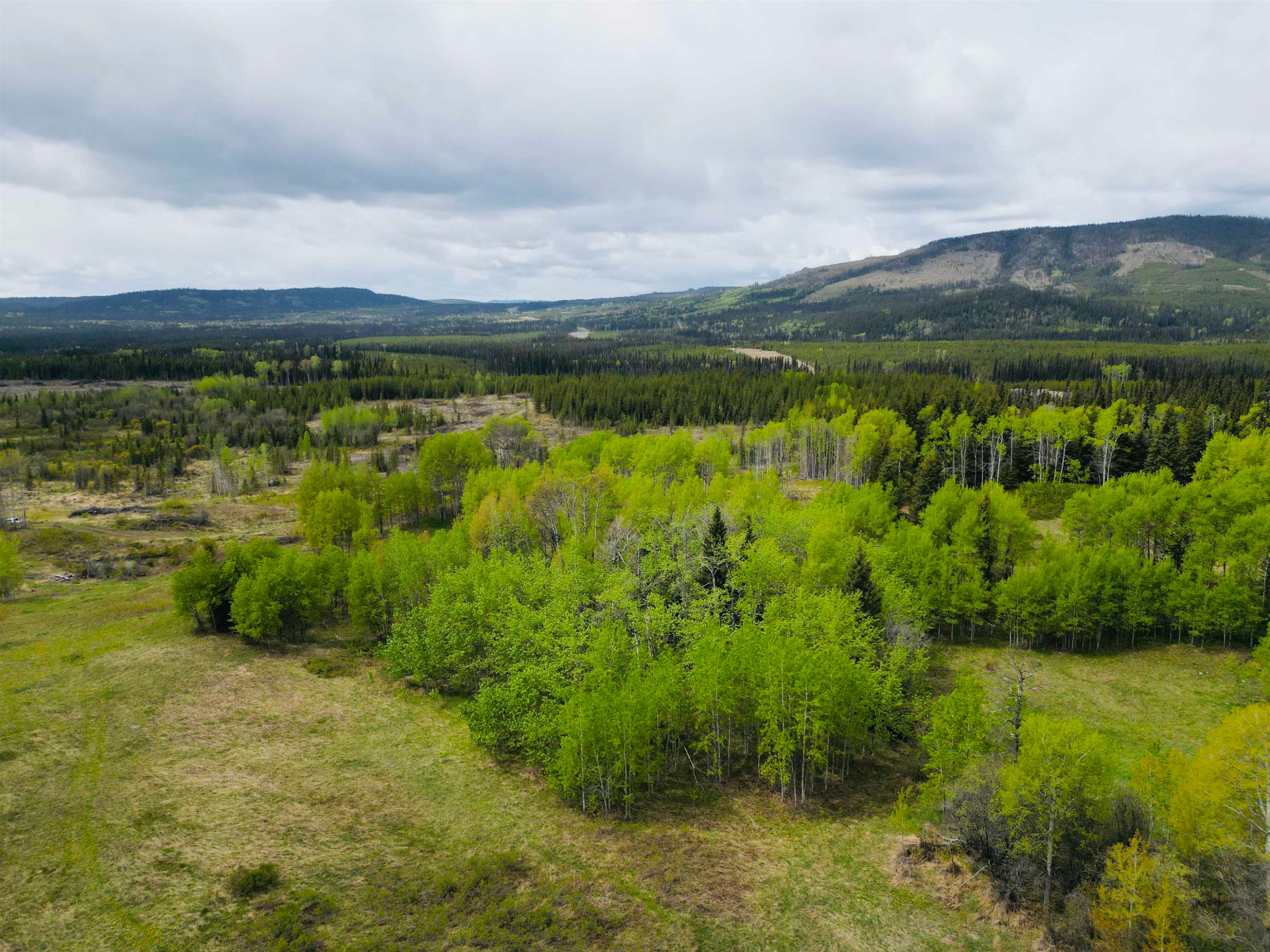 5698 Barteaux Road, Burns Lake, BC