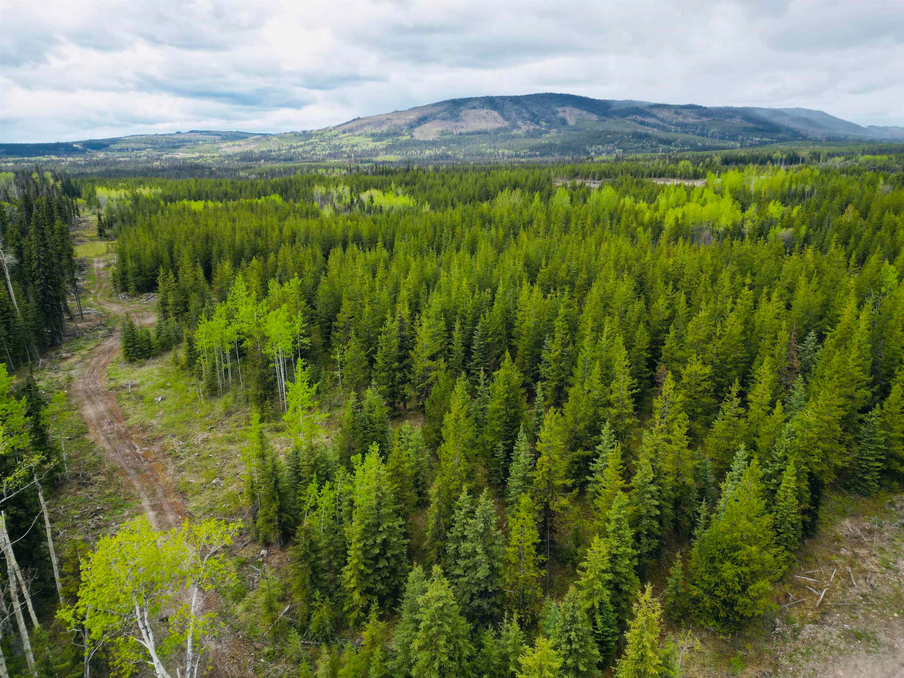 5698 Barteaux Road, Burns Lake, BC