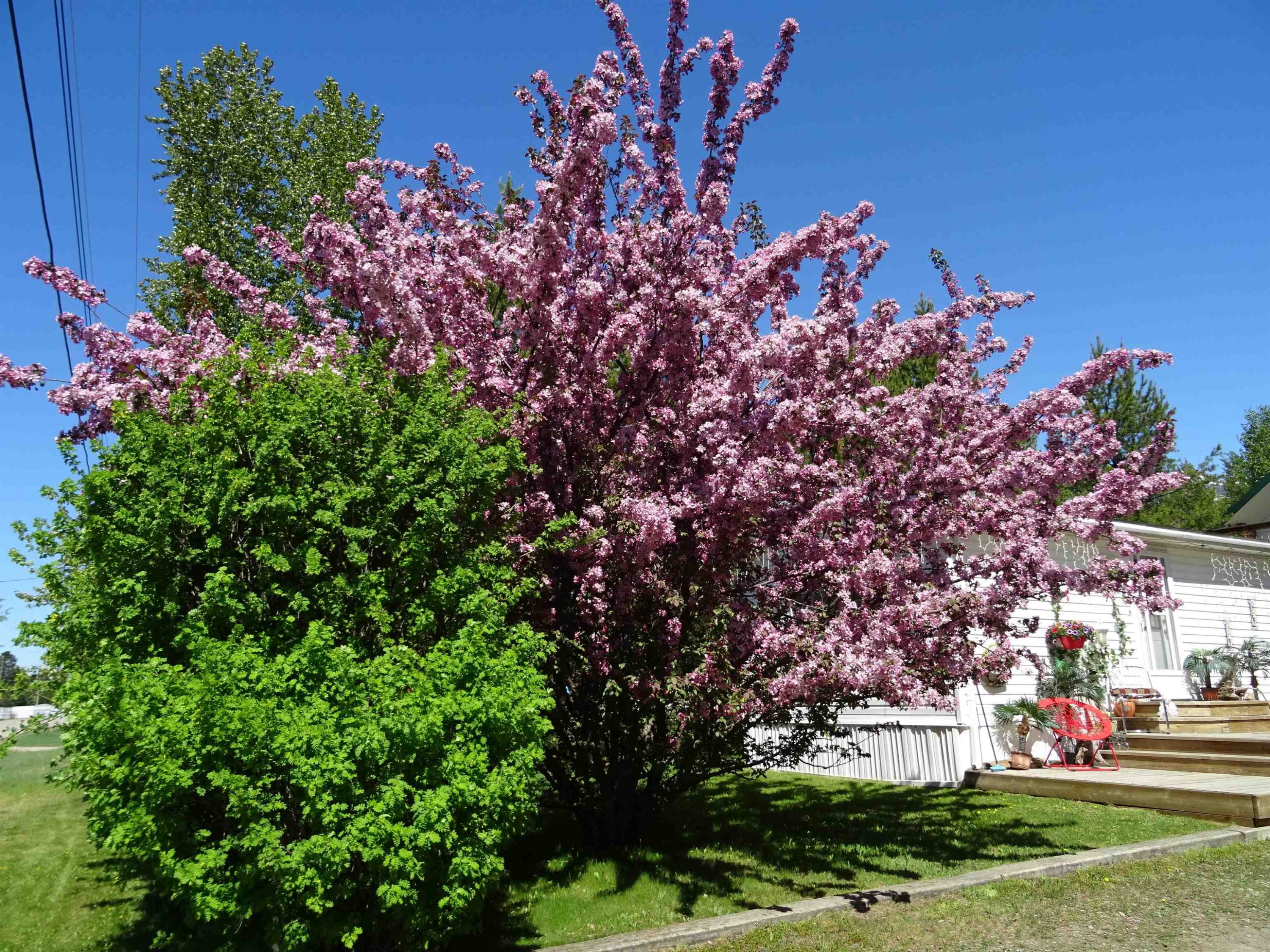 830 Beaven Crescent, Valemount, BC