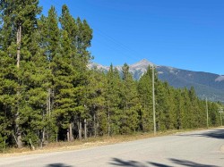 1250 17th Avenue Valemount, BC V0E 2Z0