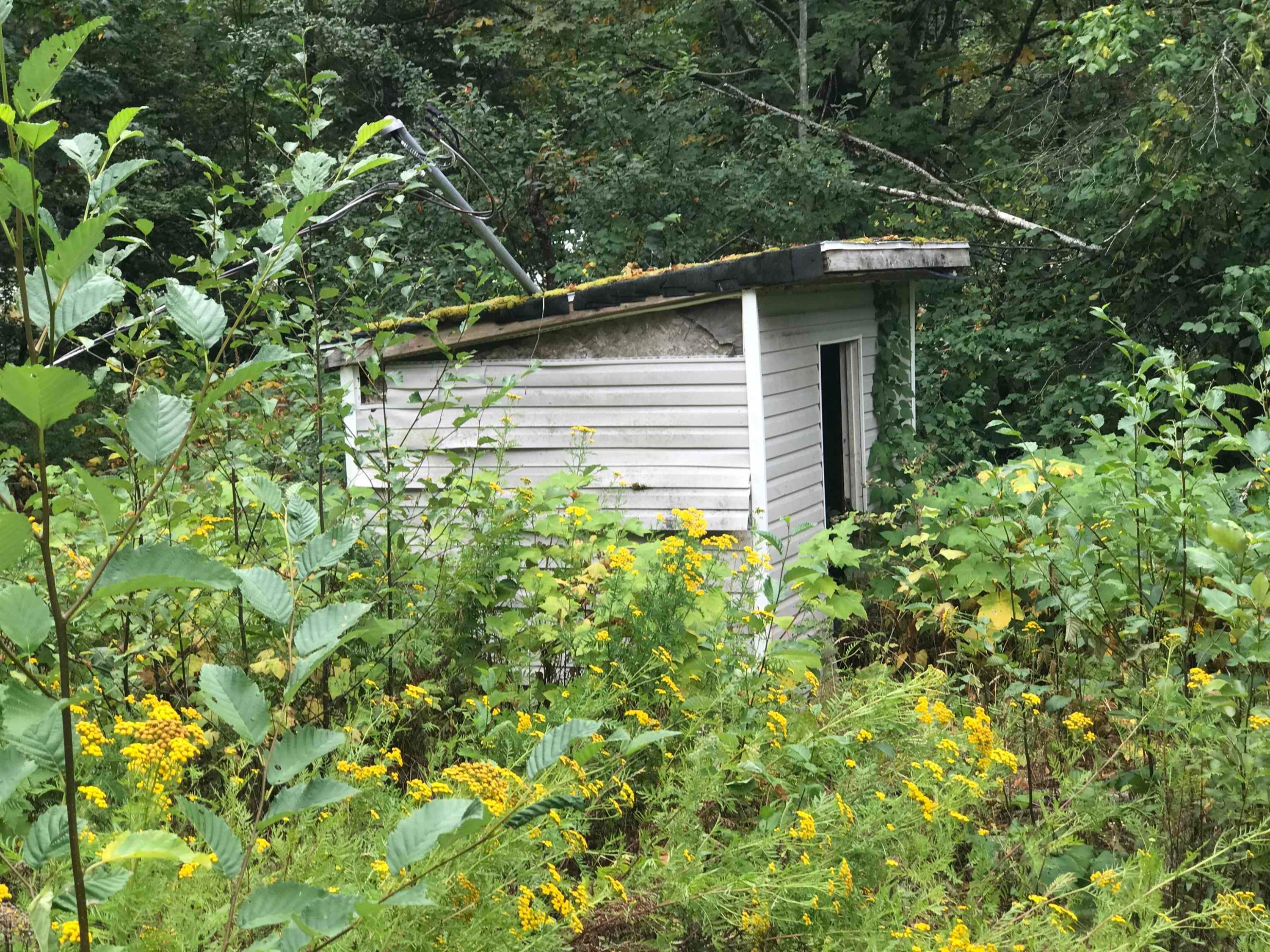 68451 Othello Road, Hope, BC