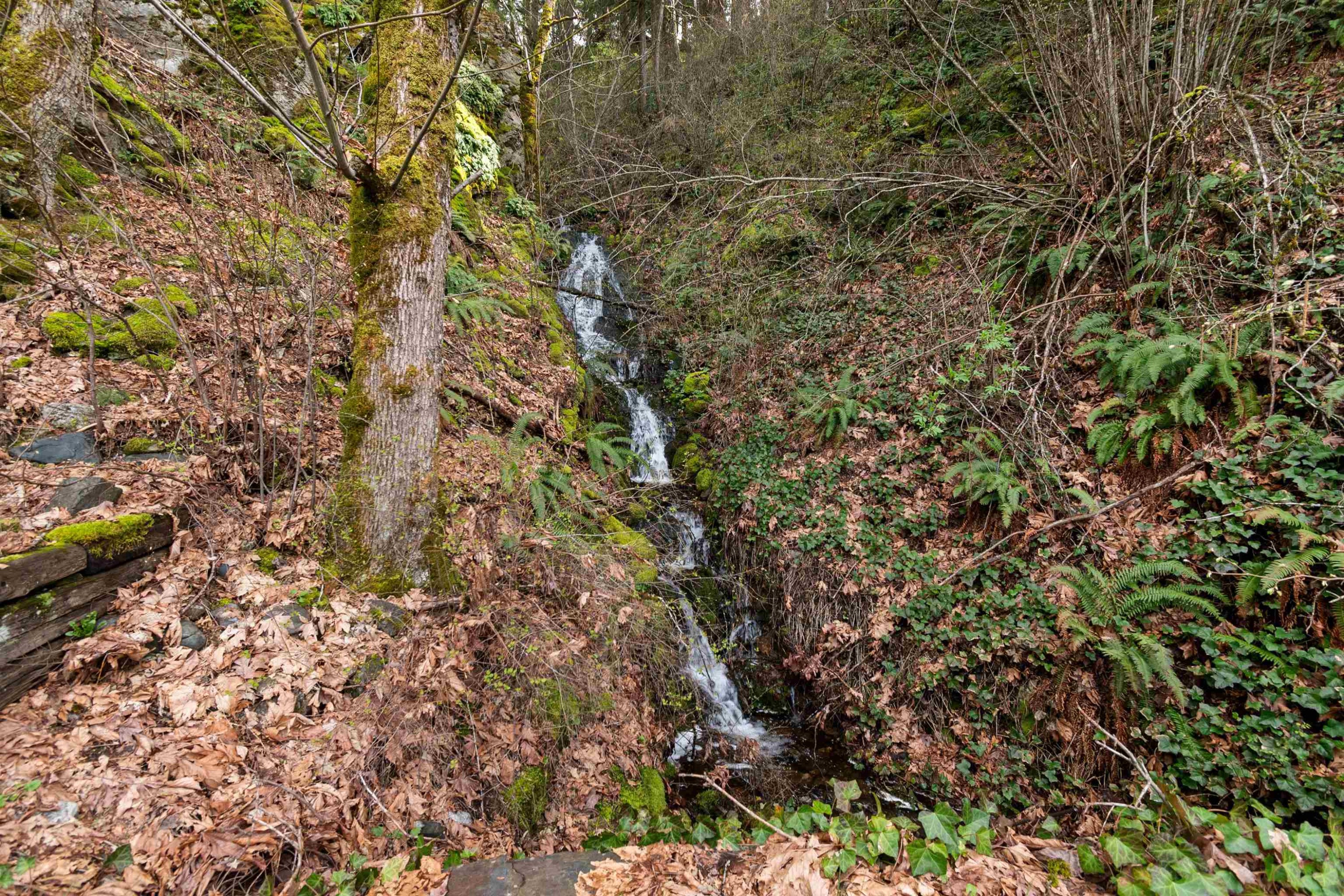 21703 Thacker Mtn Road, Hope, BC