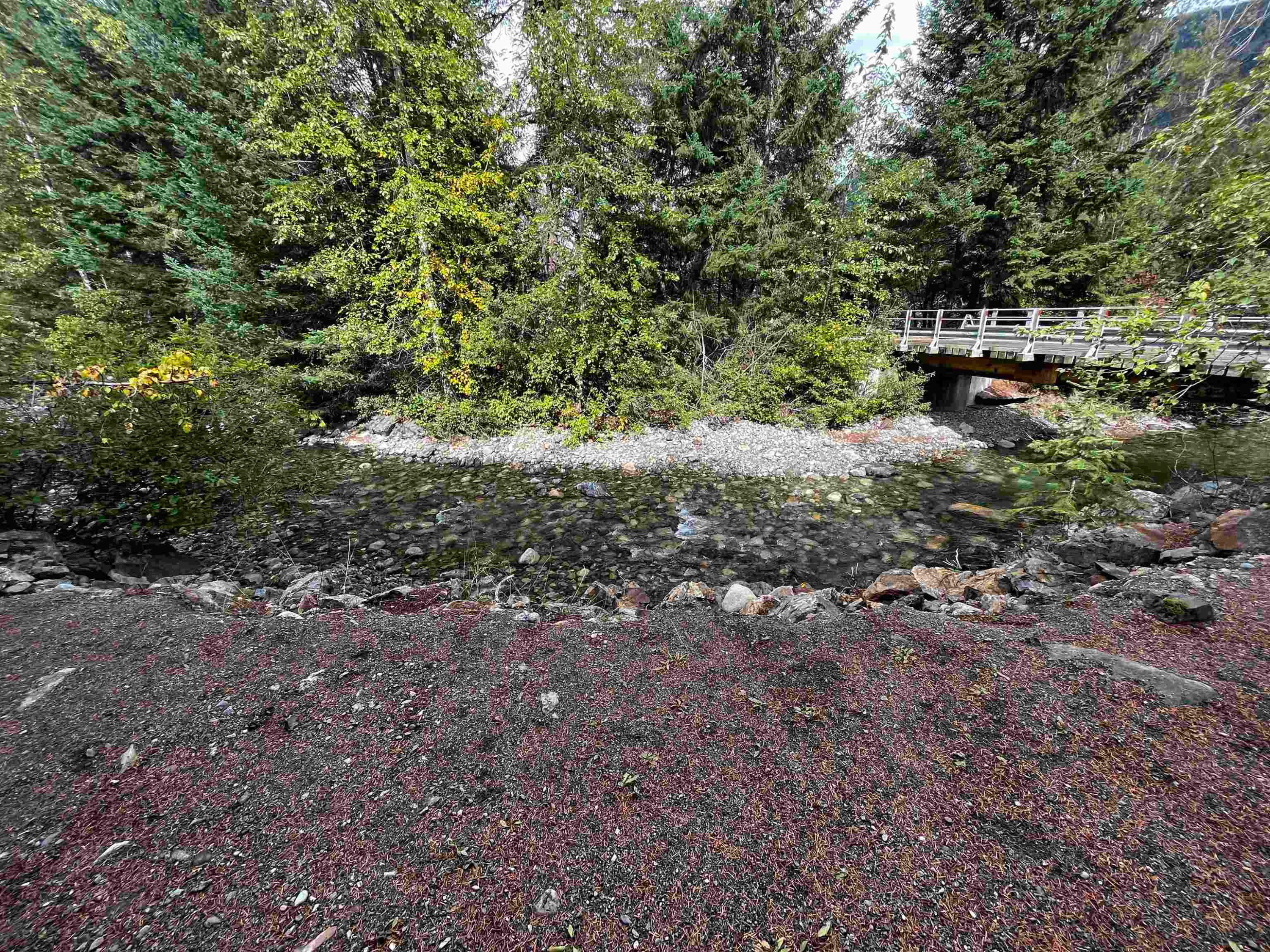 9-71860 Sumallo Road, Hope, BC