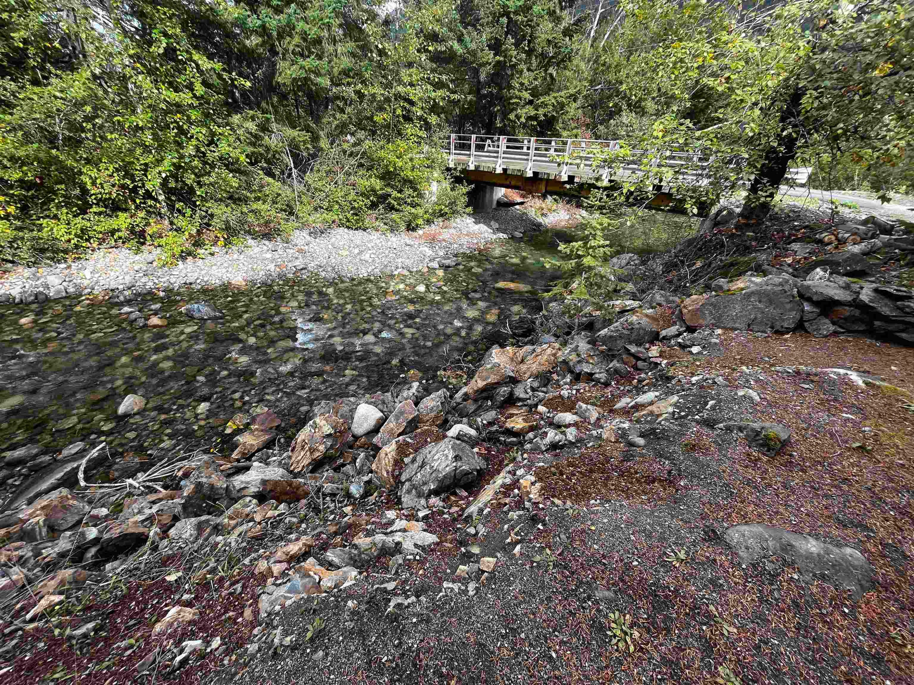 9-71860 Sumallo Road, Hope, BC