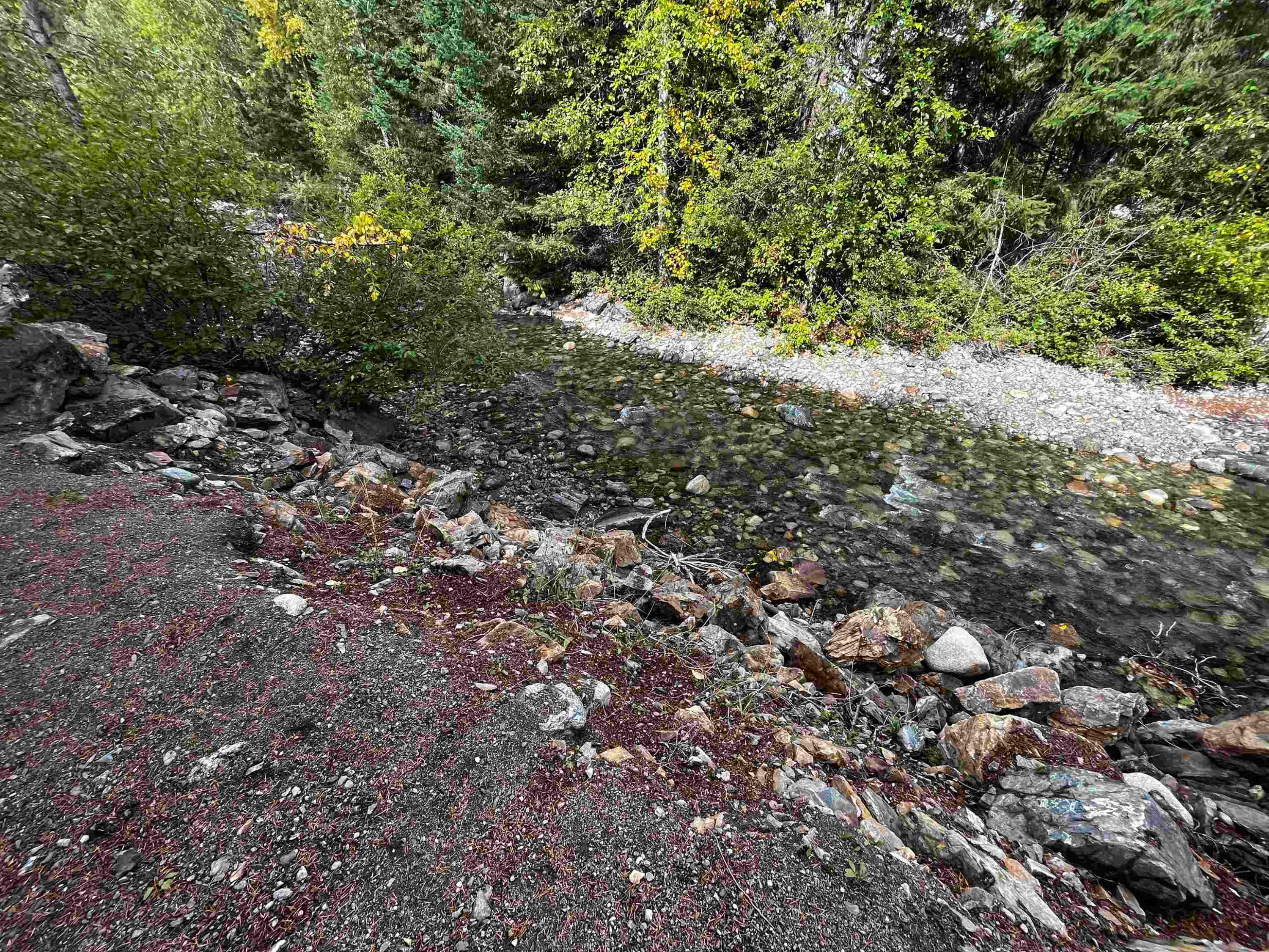 9-71860 Sumallo Road, Hope, BC