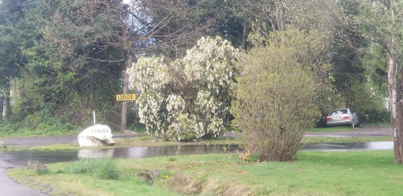 13803 Brentwood Crescent, Surrey, BC