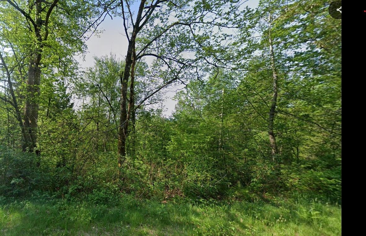 30990 Olson Avenue, Mission, BC