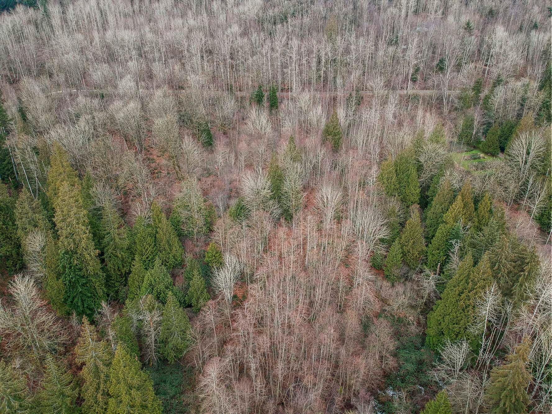 30990 Olson Avenue, Mission, BC