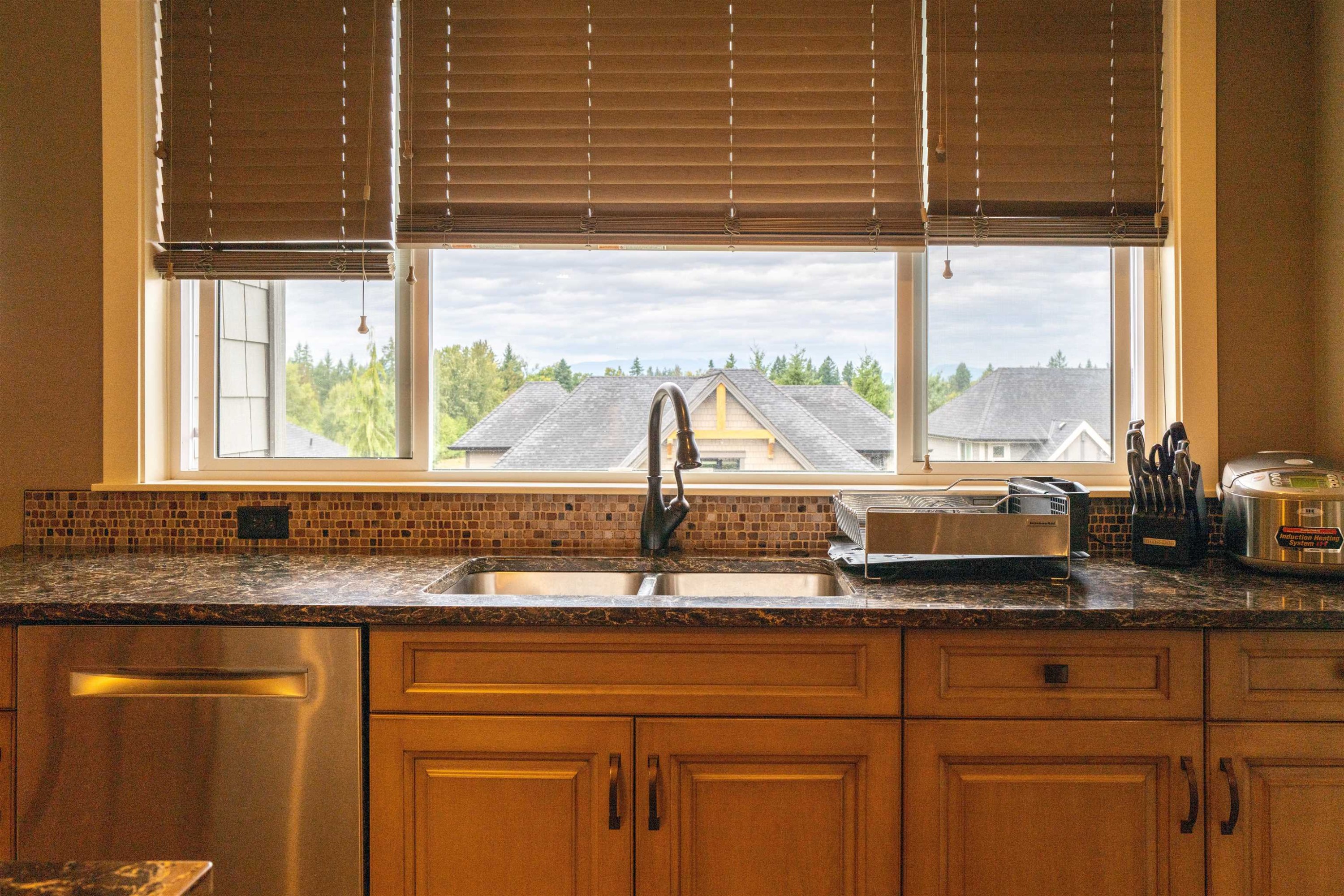 20-24455 61 Avenue, Langley, BC