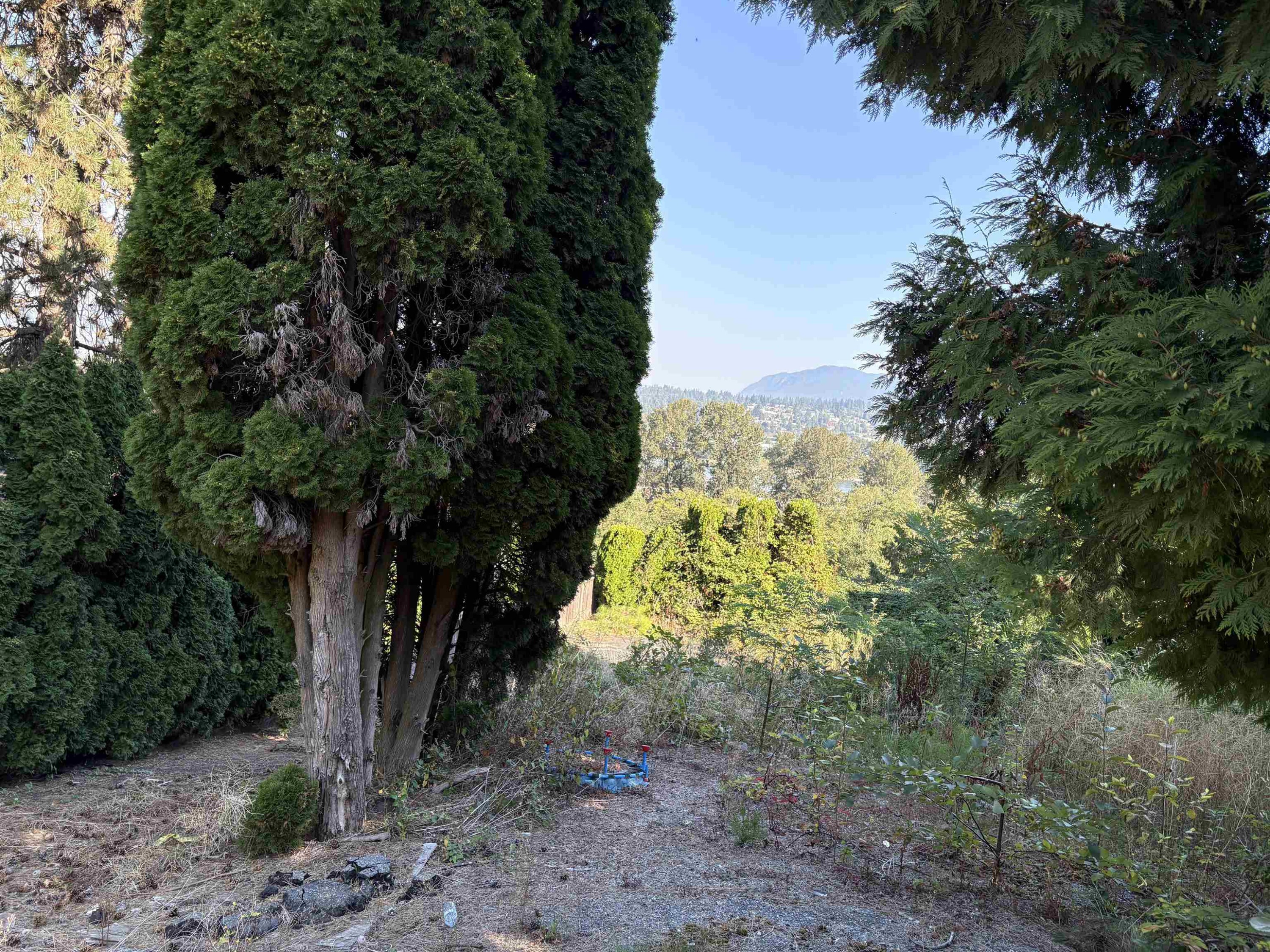 13993 116 Avenue, Surrey, BC