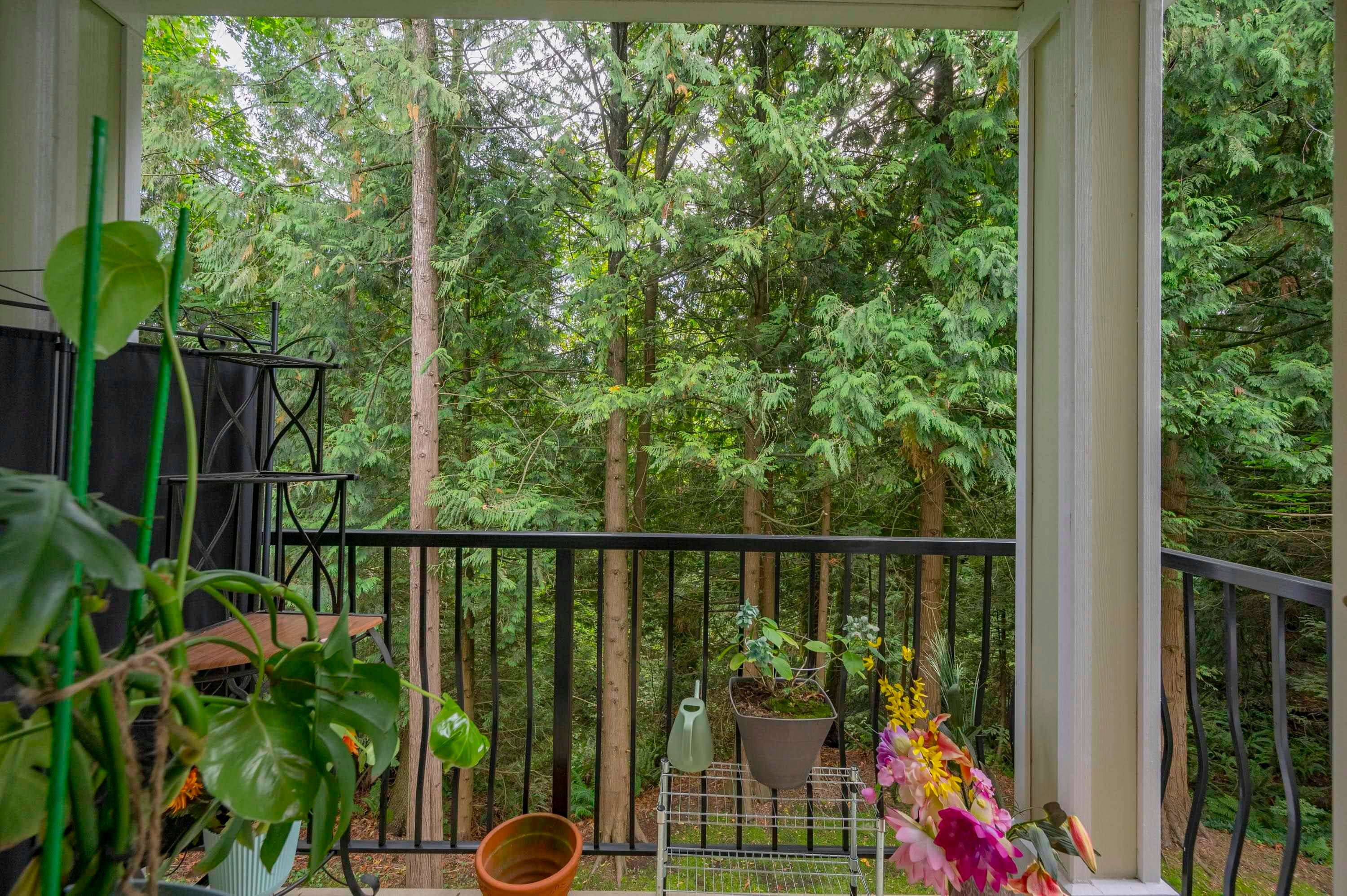 208-10320 156 Street, Surrey, BC