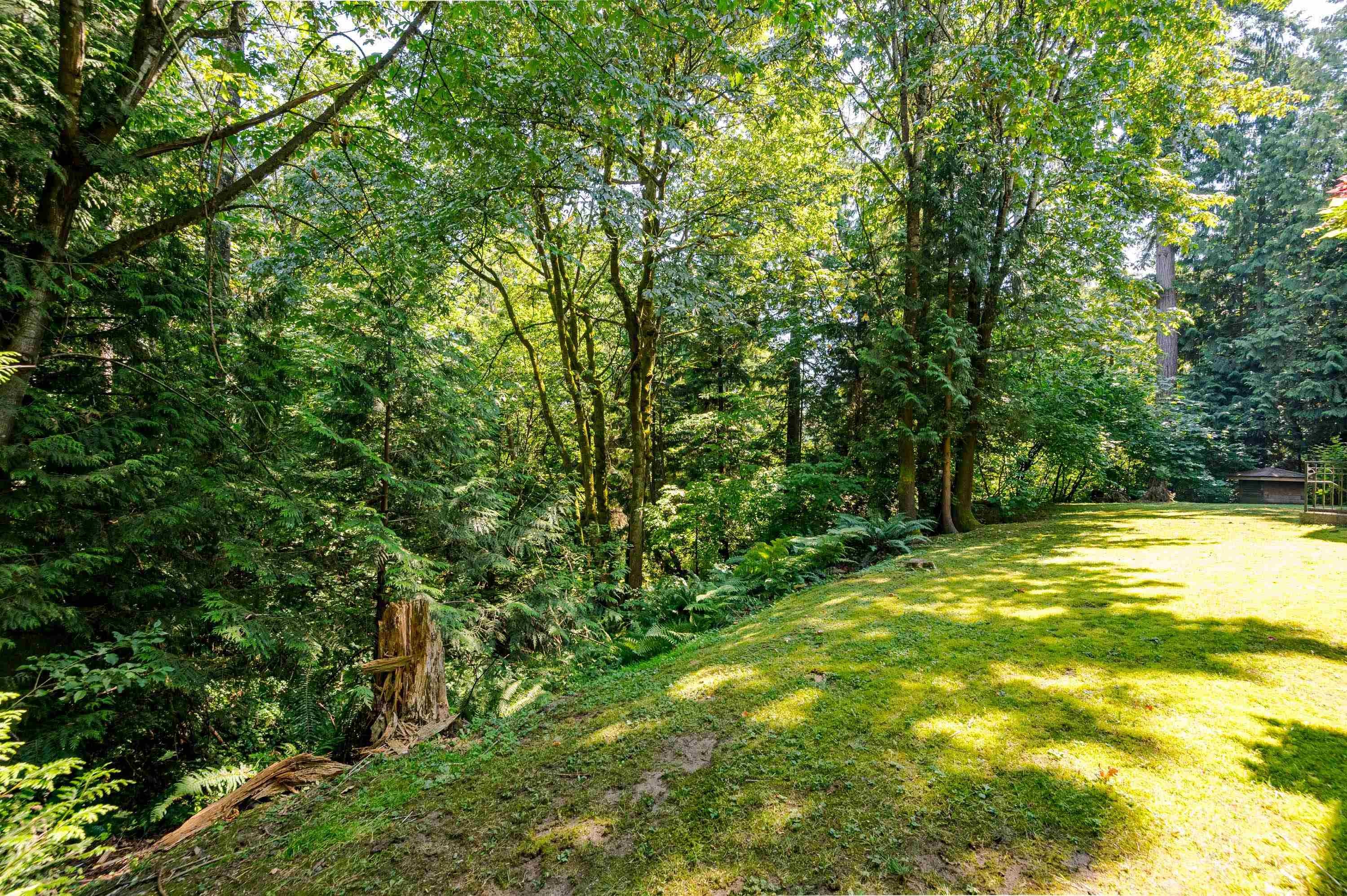 208-10320 156 Street, Surrey, BC