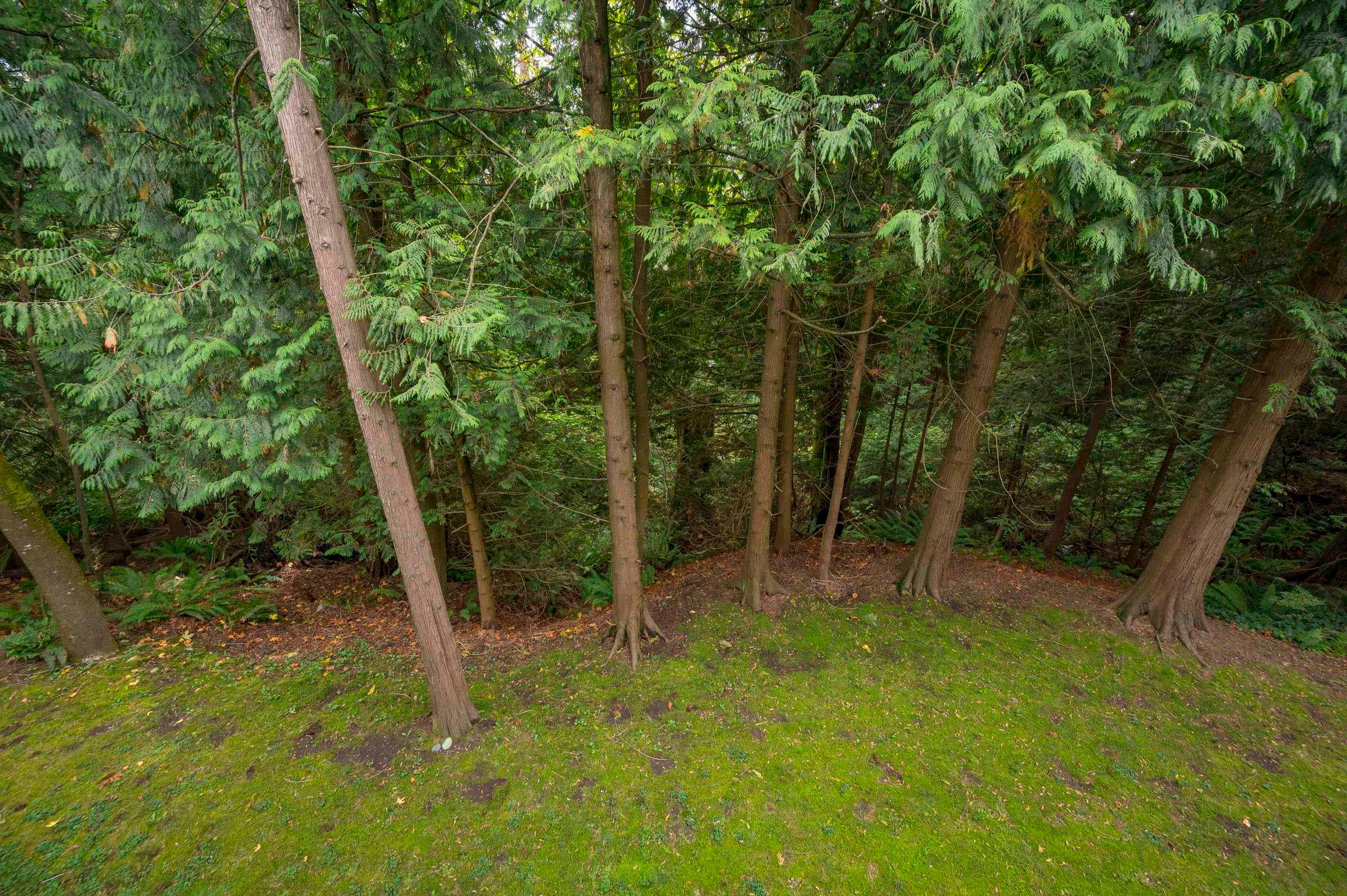 208-10320 156 Street, Surrey, BC