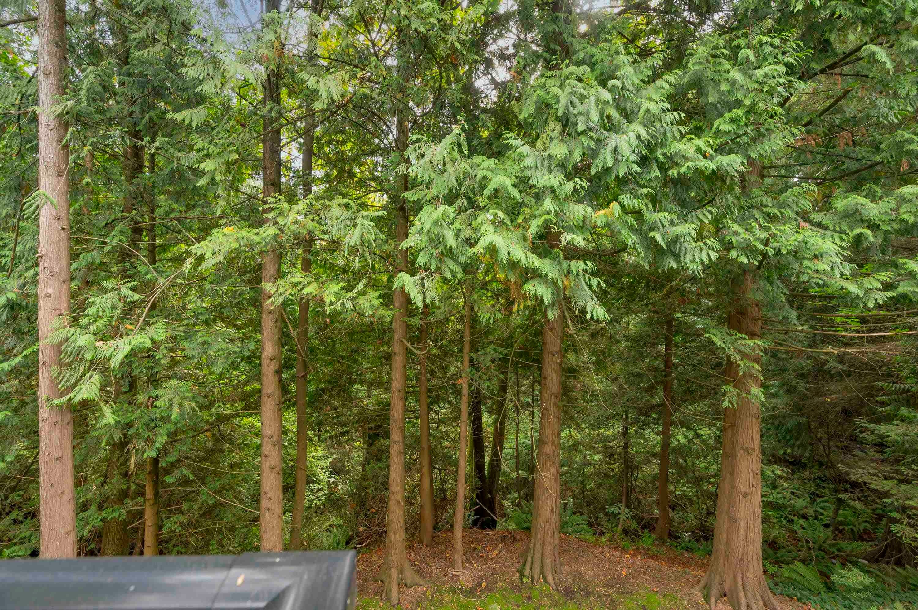 208-10320 156 Street, Surrey, BC