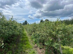 9445 Catherwood Road Mission, BC V0M 1H0