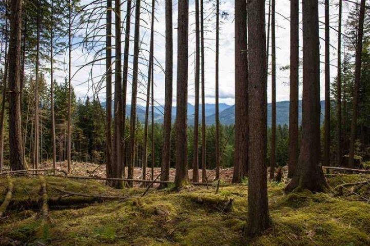 11533 Wilson Street, Mission, BC